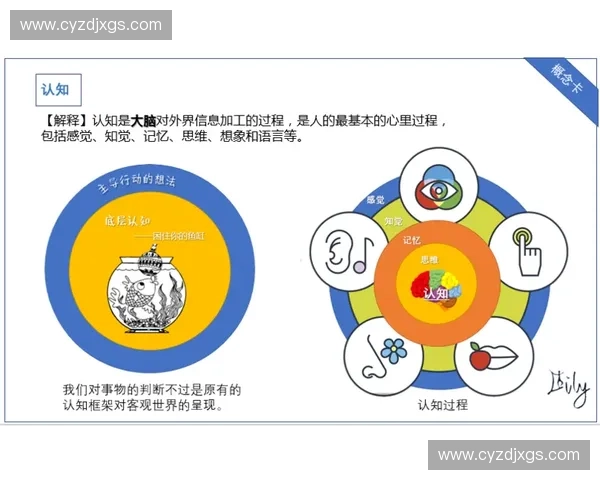 基于反应时测定的人类认知加工效率评估与训练机制综合研究框架新 基于反应时测定的人类认知加工效率评估与训练机制综合研究框架新